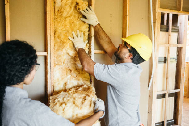 Best Basement Insulation  in Rkside, PA